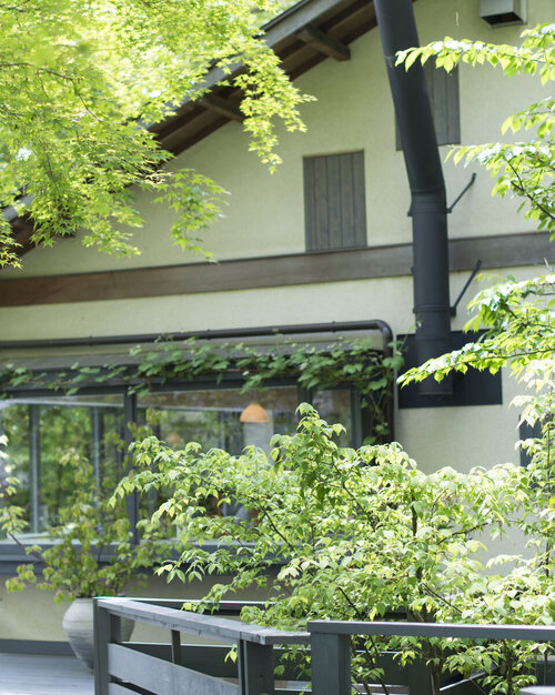 内田京子 陶展 開催いたします | お知らせ | くるみの木 一条店